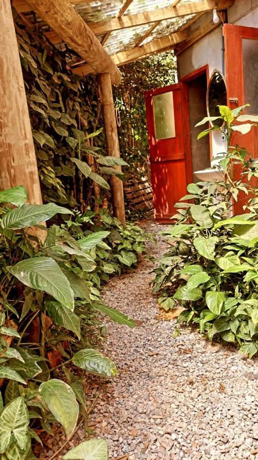 Villa Morena Benessere Florianópolis Extérieur photo