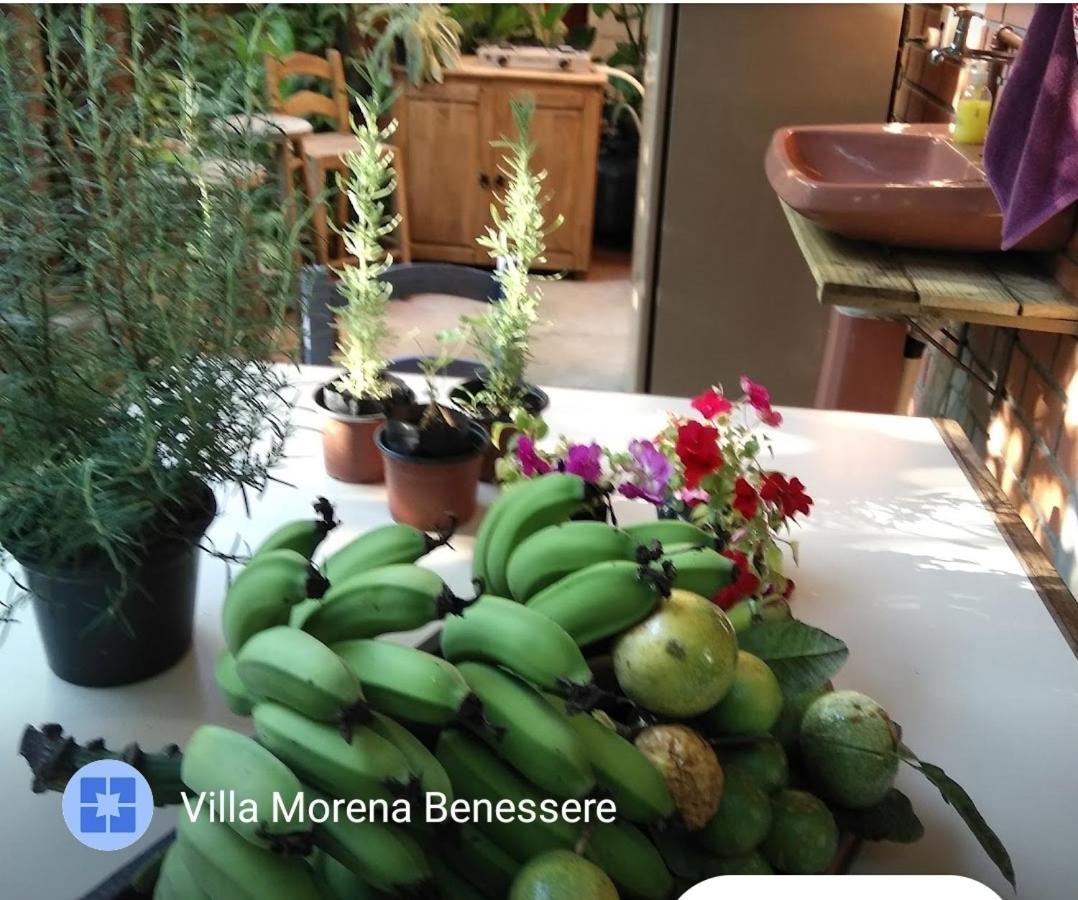 Villa Morena Benessere Florianópolis Extérieur photo