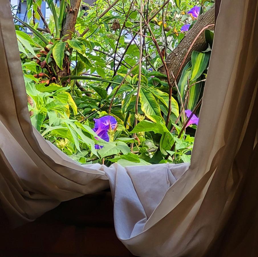Villa Morena Benessere Florianópolis Extérieur photo